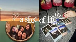 SLICE OF MY LIFE 💙: vegan adventures, dubai chewy cookie, blue monday, bts ticketing (FAIL)