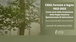 Crea Foreste e Legno
