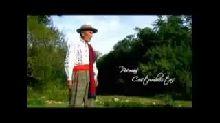 La Desjuerzada