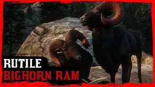 Red Dead Online - Legendary Rutile Ram Location - How To Craft Rutile Ram Garment