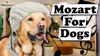 Mozart for Dogs