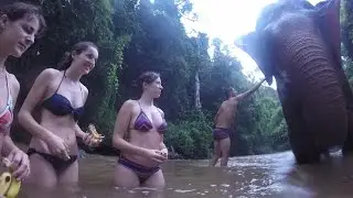 The Mondulkiri Project. Mondulkiri Cambodia