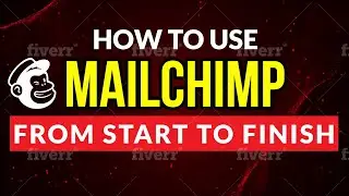 Mailchimp Tutorial From Start To Finish | How To Use Mailchimp (ULTIMATE BEGINNERS GUIDE)