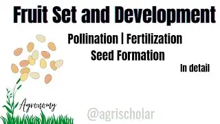Fruit Set and Development | Pollination | Fertilization | Seed Formation | Crop Physiology | AS