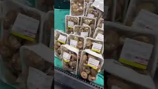 Many types of mushrooms are being sold here #gardening #short#ytshorts #mushroom #telugushorts