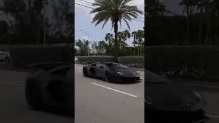 The Black Cobra Lamborghini Aventador SVJ 🔥