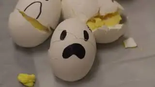 College Students Play Egg Roulette