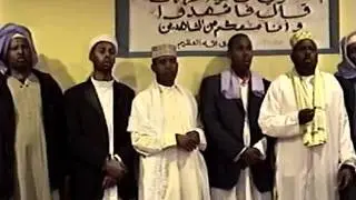 ZAYLICI 1