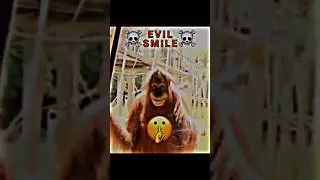Evil Smile ☠️ #orangutan #edit #trolledit #trollfaceedit