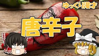【ゆっくり漫才】唐辛子【ゆっくり茶番】