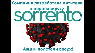Компания Sorrento therapeutics SRNE разработала антитело полностью блокирующее коронавирус