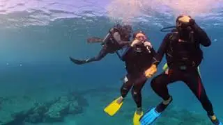 Scuba Diving Easter Island. 360 degree view. 4k view, Manually change settings to view in 4k.