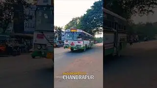 ASF➡️Автобус Чандрапур | #tgsrtc #tsrtc #bus #pallevelugu #shorts | tsrtc палле велугу