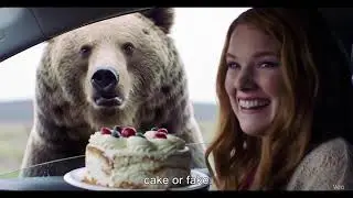 :Beary Funny Surprise!