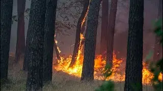 The Roots of Greece's Wildfire Crisis: Climate Change, Austerity, and Historical Neglect