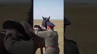 11. Februar 2026 #horse  #horseriding #Vidu #добрый умор #ошибкиИИ #history #fighter