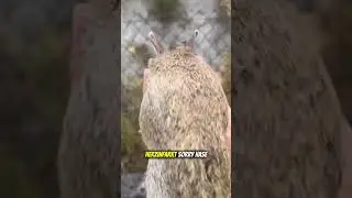 Zwei Männer mit großem Herz ❤️