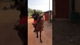 Tiesco le Sultan parle du clash Ariel Sheney Vs Safarel Obiang