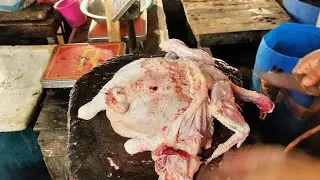 The Dpecial Chicken Boneless Cutting