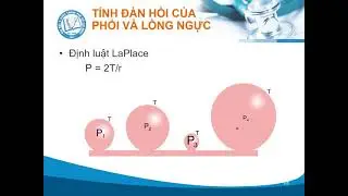 Sinh lý hô hấp