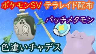 🔴【ポケモンSV】 色違いチャデス配布レイド＋とくせいパッチメタモン＋視聴者同士の交流所（攻略情報・レイド募集・ポケモン交換・ポケモン対戦・攻略情報など）2026年1月12日 朝～