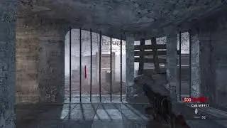 Call of Duty Zombies Nostalgia