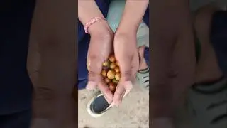 funny video.. 😂😂.. #trending #viral #funny #comedy #funnycomedy #fun #funnymemes #youtubeshorts