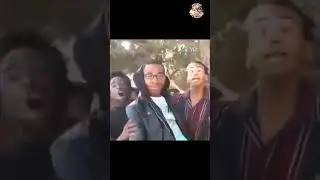 Sei un tifoso del Palermo semplice, meme react. Stasera ore 21:00 tutti in live 🦅