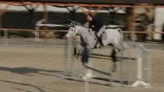 Kone -Karpatia - Du&scaron;an Sabo