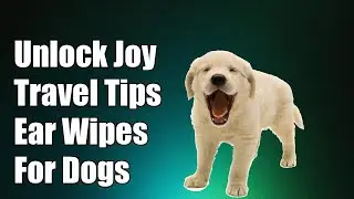 Unlock the Secret to Happy Travels: Best Ear Wipes for Golden Retrievers!
