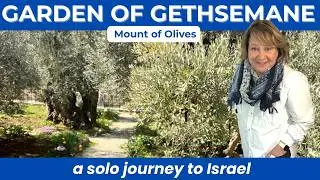 How Safe is it to Visit Israel Right Now as a Solo Traveler?