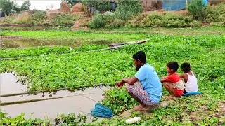 Hook Fishing - Traditional Hook Fishing - MR Fishing Life (Part-525)