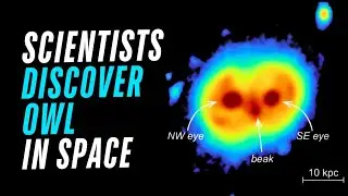 Scientists Discover Owl In Space 🦉 #galaxy #space #viralvideo #science