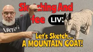 Mountain Goat Sketch Tutorial and Nature Chat