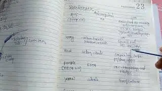 Details About Vacutainers @ medicos Wow 