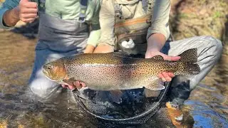 Watch us locked into battle with this amazing Soque River hen at Larry&rsquo;s Lodge!