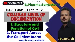HAP-1: Cell Structure & Function + Cell Membrane Transport | Complete Chapter for B.Pharm 1st Sem