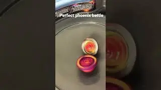 Perfect phoenix vs perfect phoenix p4