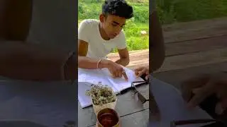 Nature ❣️ #viral #fyp #nature #nepal #study #music #cafe
