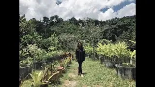 [VIBAY]EP1 马来西亚文冬第一个谷仓式的婚礼场地 First barn-style wedding venue at Bentong Malaysia-Jardin Event Venue⁣⁣