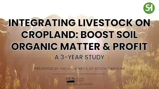 Integrating Livestock On Cropland: Boost Organic Matter & Profit (3-Year Study)