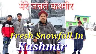 FRESH SNOWFALL 🌨 IN KASHMIR ||HEAVY SNOWFALL IN GOLMARG THIS WINTER