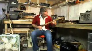 Bradford Custom Creations Vipar Renaissance (like a strumstick)