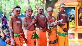 தெல்லிப்பளை மாவை கலட்டி நாகதம்பிரான் கோயிலில் ஸ்ரீலஸ்ரீ ஆறுமுகநாவலர் குருபூசை 28.12.2025 