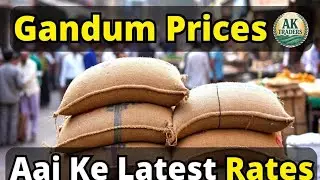 Pakistan Mein Aaj Ke Wheat (Gandum) Rates 🆙🔥 | City Wise Update 2025