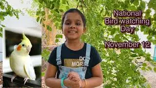 National Bird Watching Day | November 12 | My favorite bird cockatiel | Salim Ali |