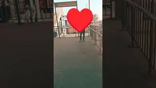 video of saree ke fall hai dost 6