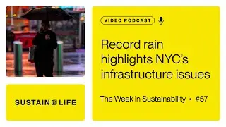 Record rain highlights NYC&rsquo;s infrastructure issues // The Week in Sustainability