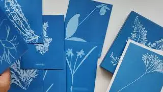 Набор открыток Sunprint Notecards: The Cyanotypes of Anna Atkins / Sunprint: Цианотипы Анны Аткинс