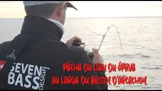 P&ecirc;che du LIEU sur &Eacute;PAVE au large du BASSIN D'ARCACHON